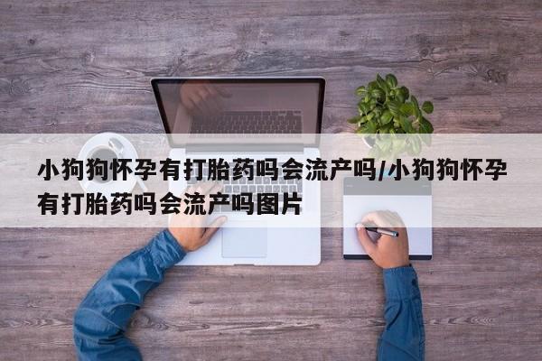 网上米非司酮片在线购买小狗狗怀孕有打胎药吗会流产吗/小狗狗怀孕有打胎药吗会流产吗图片