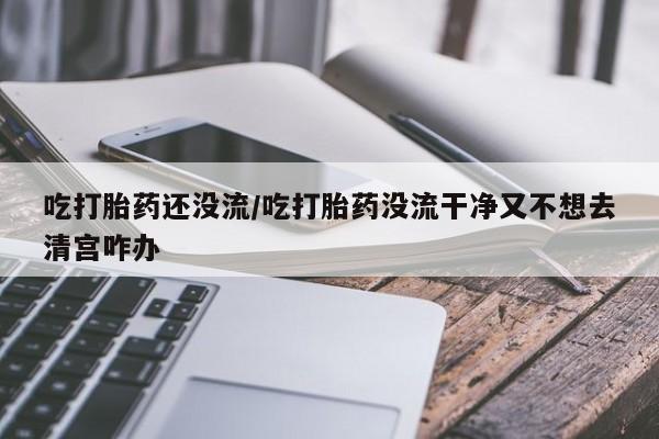 网上米非司酮片在线购买吃打胎药还没流/吃打胎药没流干净又不想去清宫咋办