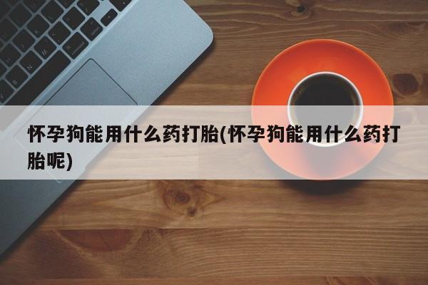 网上米非司酮片在线购买怀孕狗能用什么药打胎(怀孕狗能用什么药打胎呢)